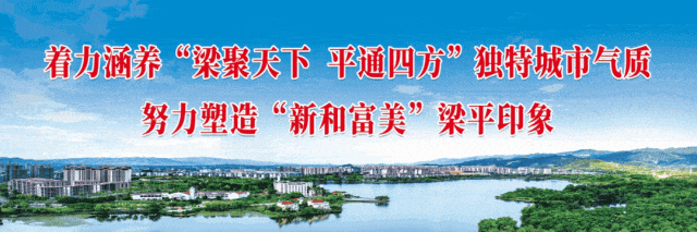 集中检阅 集中检阅