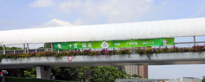 QAA, inews QAA, inews