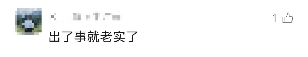 无绳蹦极, msn, 工作人员 无绳蹦极, msn, 工作人员